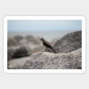 Bird On A Rock By The Sea Sticker